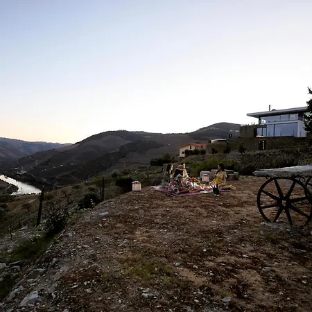 Quinta Rainha Santa Mafalda 别墅 *